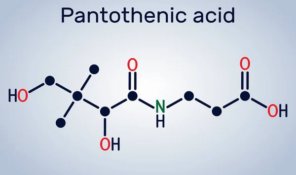 Pantoténsav Vitamin Pantothenát Molekula Szerkezeti Kémiai Képlet Vektorillusztráció — Stock Vector
