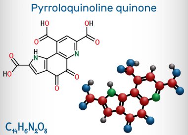 Pyrrroloquinoline quinone, PQQ, methoxatin C14H6N2O8 molekülü. Suda çözünen bir vitamin ve kofaktör rolü vardır. Yapısal kimyasal formül ve molekül modeli. Vektör illüstrasyonu