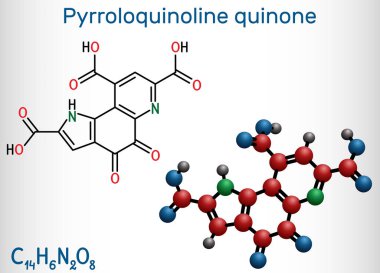 Pyrroloquinoline quinone,  PQQ , methoxatin  C14H6N2O8 molecule. It has a role as a water-soluble vitamin and a cofactor. Structural chemical formula and molecule model. Vector illustration clipart