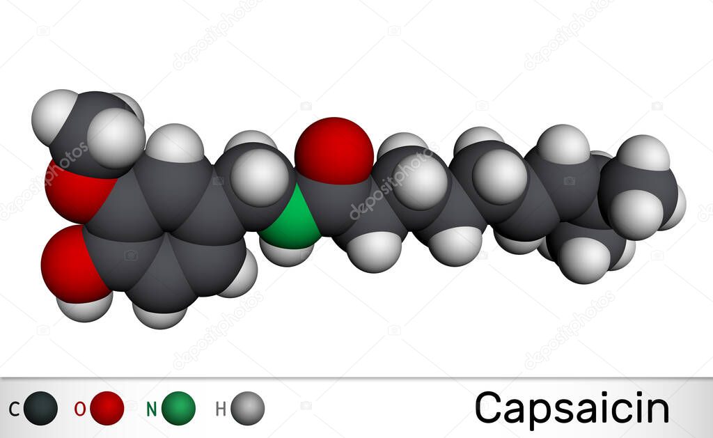 Capsaicin,  alkaloid, C18H27NO3 molecule. It is chili pepper extract with non-narcotic analgesic properties. Molecular model. 3D renderin
