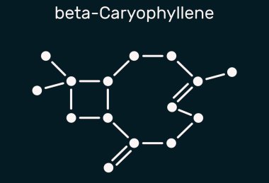 Caryophyllene, beta-Caryophyllene, C15H24 molekülü. Birçok önemli yağın bileşenlerinden biri olan doğal bir bisiklet sesquiterpenedir. Koyu mavi arkaplanda yapısal kimyasal formül. Görüntü