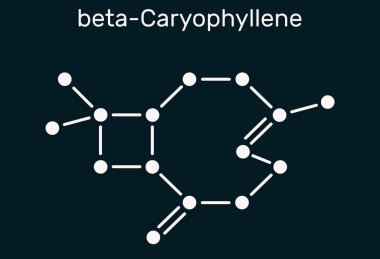Caryophyllene, beta-Caryophyllene, C15H24 molecule. It is natural bicyclic sesquiterpene that is a constituent of many essential oils. Structural chemical formula on the dark blue background. Illustration clipart