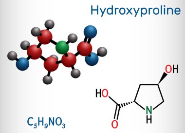Hidroksilin, Hyp, C5H9NO3 molekülü. Proteojenik amino asidin yaygın bir bileşenidir ve protein kolajenin önemli bir bileşenidir. Yapısal kimyasal formül ve molekül modeli. Vektör illüstrasyonu