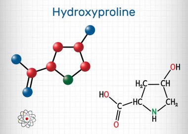 Hidroksilin, Hyp, C5H9NO3 molekülü. Proteojenik amino asidin yaygın bir bileşenidir ve protein kolajenin önemli bir bileşenidir. Yapısal kimyasal formül ve molekül modeli. Kafesteki bir kağıt parçası. Vektör illüstrasyonu