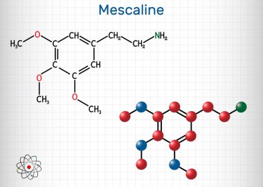Meskalin molekülü. Halüsinojenik, psikedelik, fenetilamin alkaloit. Yapısal kimyasal formül ve molekül modeli. Kafesteki bir kağıt parçası. Vektör illüstrasyonu