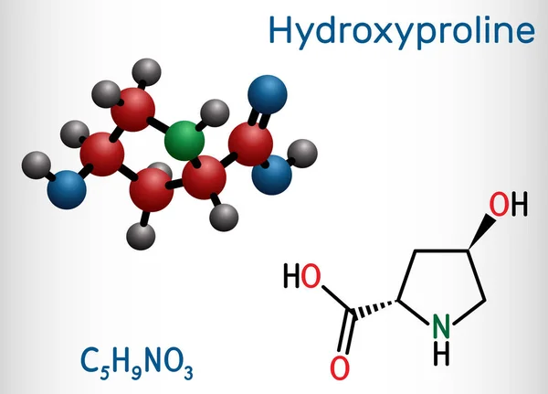 Hidroxiprolina Hyp Molécula C5H9No3 Aminoácido Proteinogénico Común Componente Importante Proteína — Vector de stock