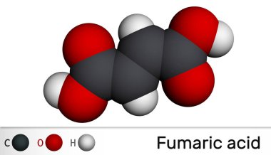 Fümerik asit, C4H4O4, molekül. Doymamış dikarboksilik asit, gıda katkı maddesi E297. Moleküler model. 3B görüntüleme