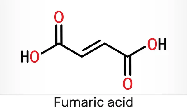 Fumaric Acid C4H4O4 Molecular 它是不饱和双羧酸 食品添加剂E297 骨骼化学配方 说明1 — 图库照片