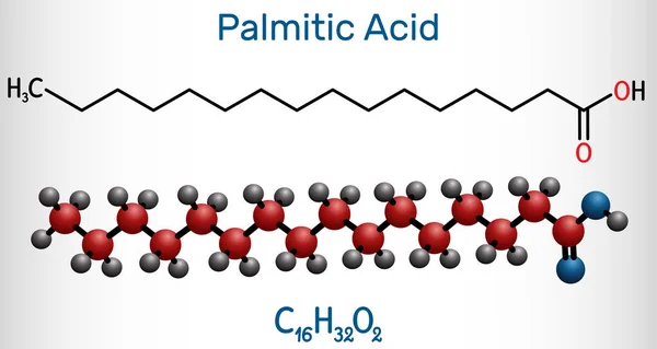 Palmitik asit veya hexadekanoik, C16H32O2 molekülü. Doymuş yağ asidi. Yapısal kimyasal formül ve molekül modeli. Vektör illüstrasyonu