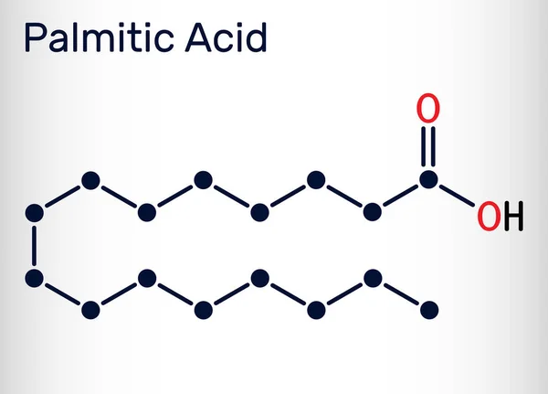 Palmitinsav Vagy Hexadekánsav C16H32O2 Molekula Telített Zsírsav Szerkezeti Kémiai Képlet — Stock Vector
