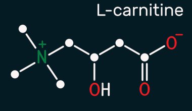 L-carnitine, Levocarnitine, Carnitine, C7H15NO3 molekülü. İskelet kimyasal formülü. Görüntü