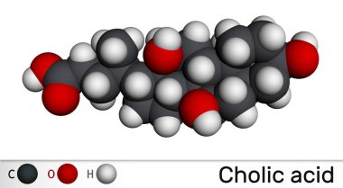 Cholic asit, C24H40O5 molekülü. Karaciğerde üretilen birincil safra asidi. Besin takviyesi E 1000. Moleküler model. 3B görüntüleme