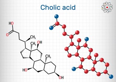 Cholic asit, C24H40O5 molekülü. Karaciğerde üretilen birincil safra asidi. Besleyici E1000 takviyesi. Yapısal kimyasal formül, molekül modeli. Kafeste bir yaprak kağıt. Vektör illüstrasyonu