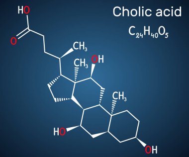Cholic asit, C24H40O5 molekülü. Karaciğerde üretilen birincil safra asidi. Besin takviyesi E 1000. Koyu mavi arkaplanda yapısal kimyasal formül. Vektör illüstrasyonu