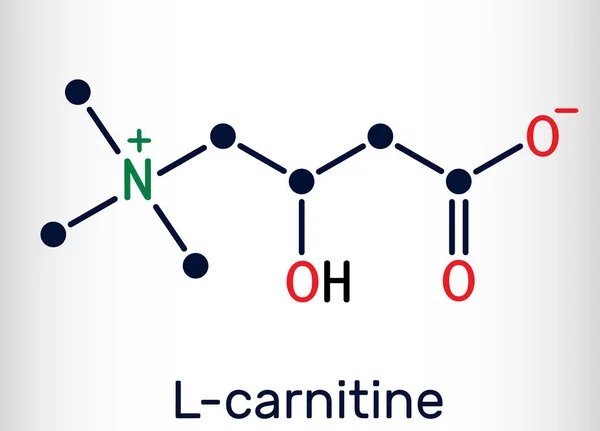Karnitin Levokarnitin Karnitin Molekula C7H15No3 Strukturální Chemický Vzorec Vektorová Ilustrace — Stockový vektor