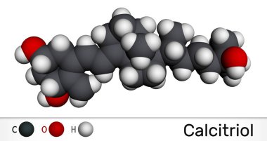 Kalsitriol, D vitamini, C27H4O3 molekülü. Bu hidroksikalciol, D3 vitamin ve triol üyesi. Moleküler model. 3B görüntüleme