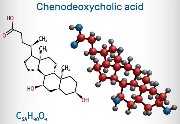 Ácido Quenodeoxicólico Cdca Ácido Quenocólico Molécula C24H40O4 Ácido Biliar Que — Vector de stock