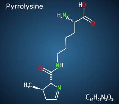 Pyrrolysine, l-pyrrolysine, Pyl, C12H21N3O3 molekülü. Bu amino asit, proteinlerin biyosentezinde kullanılır. Koyu mavi arkaplanda yapısal kimyasal formül. Vektör illüstrasyonu