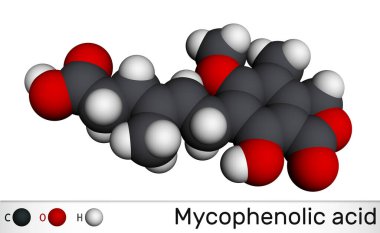Mikolik asit, MPA, micofenolat, C17H20O6 molekülü. Bağışıklık güçlendirici bir ilaç ve etkili bir anti-üreme ilacı. Moleküler model. 3B görüntüleme