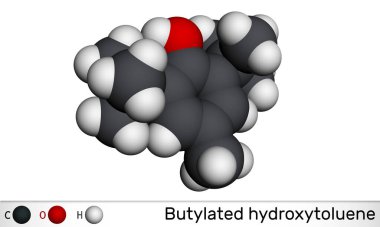 Butylated hydroxytoluene, BHT, dibütil hidroksitolüen molekülü. Lipophilik organik bileşik, antioksidan, gıda katkı maddesi E321. Moleküler model. 3B görüntüleme