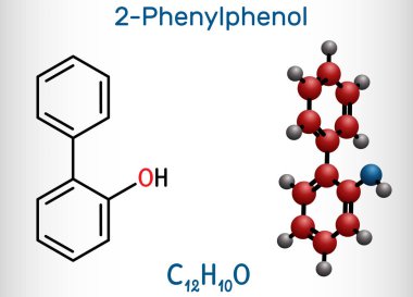 2 fenilfenol, bifenillol, ortofenil, C12H10O molekülü. Mantar önleyici ve E numarası E231 olan bir madde. Yapısal kimyasal formül ve molekül modeli. Vektör illüstrasyonu