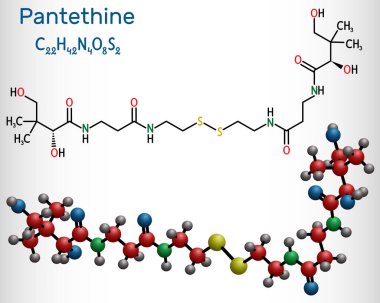 Pantethine, o-enzim pantethine, bis-pantethine molekülü. Pantetheine 'in dimerik formu. Kan kolesterolünü düşürmek için. Vektör illüstrasyonu