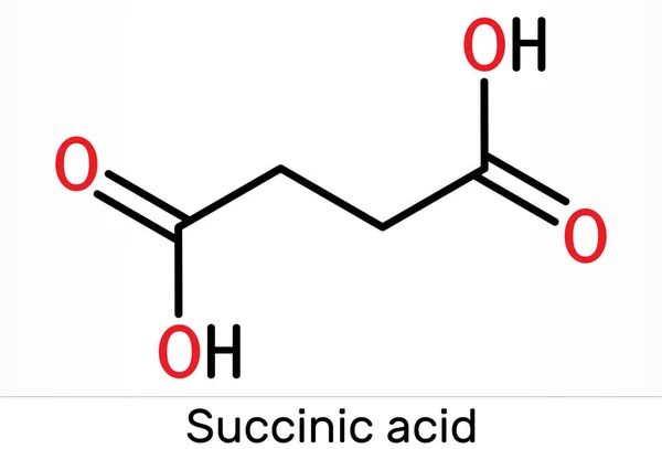 Bernsteinsäure Butandiosäure C4H6O4 Molekül Ist Lebensmittelzusatzstoff E363 Das Anion Succinat — Stockfoto