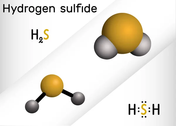Hidrojen sülfür, hidrosülfürik asit, H2S molekülü. Çürük yumurta kokulu son derece zehirli ve yanıcı bir gazdır. Yapısal kimyasal formül ve molekül modeli. Vektör illüstrasyonu