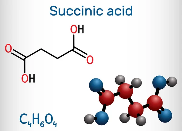 Ácido Succínico Ácido Butanodioico Molécula C4H6O4 Aditivo Alimentario E363 Anión — Vector de stock