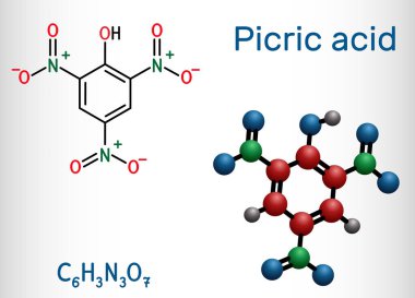 Pikrik asit 2,4,6-trinitrofenol, TNP, C6H3N3O7 molekülü. Patlayıcı olarak bir rolü var, antiseptik bir ilaç. Yapısal kimyasal formül ve molekül modeli. Vektör illüstrasyonu