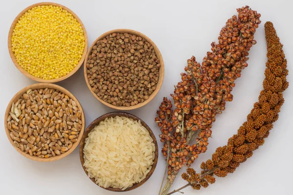 Твиг красный просо и сорго, гречиха зерна, просо, рис, пшеница — стоковое фото