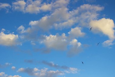 Kümülüs bulutlar ve mavi gökyüzü arka plan üzerinde