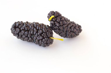 Beyaz bir arka plan üzerinde iki dut berry