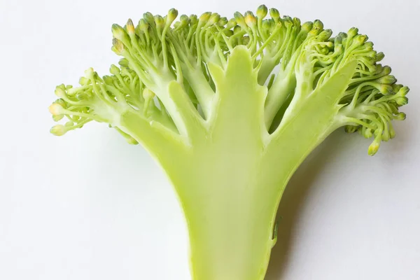 Brócoli picado sobre fondo blanco. vista superior —  Fotos de Stock