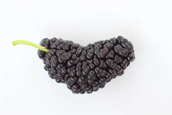 Mulberry jeden berry z ogonem na białym tle — Zdjęcie stockowe
