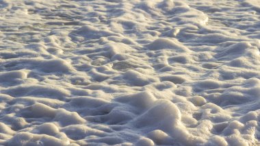 Denizci geçmişi. Gün batımında kıyıda deniz köpüğü