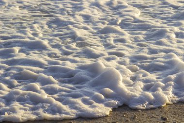 Gün batımında kıyıda deniz köpüğü