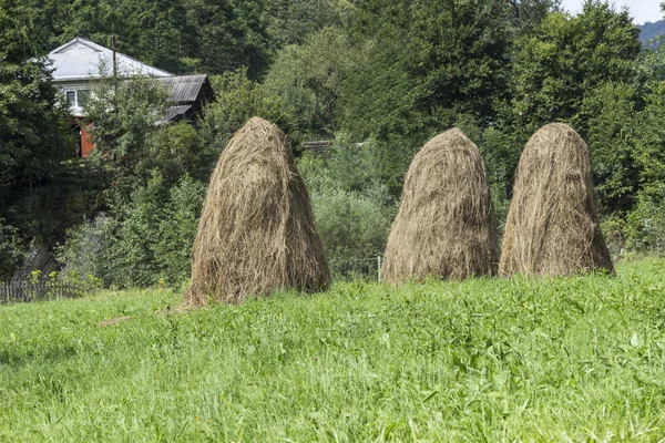 Paisaje rural. Haystacks en el prado frente a la casa del pueblo — Foto de Stock