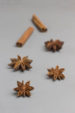 Bitkisel terapi konsepti. Baharat seti: tarçın çubukları, yıldız anason. 