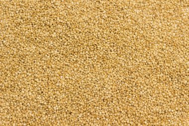 Kinoa tohumları lif kaynağı