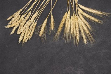 Buğday ve çavdar ekmekleri. Sağlıklı karbonhidratlar. Beslenme lifleri