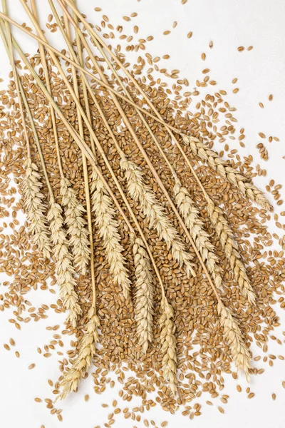 Espiguetas de trigo nos grãos de trigo. Fibra alimentar — Fotografia de Stock