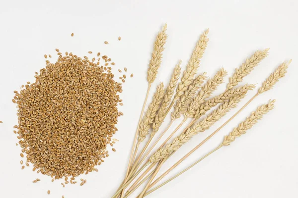 Whole grains and spikelets of wheat. Healthy carbohydrates — 스톡 사진