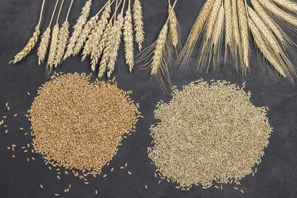 Grãos inteiros e espiguetas de trigo e centeio. Hidratos de carbono saudáveis — Fotografia de Stock