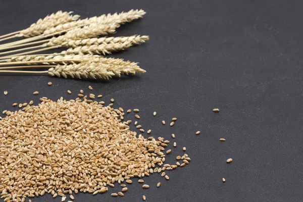 Grãos inteiros e espiguetas de trigo. Hidratos de carbono saudáveis — Fotografia de Stock