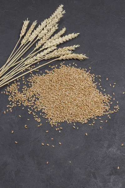 Whole grains and spikelets of wheat. Healthy carbohydrates — 스톡 사진