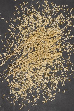 Yulaf tanelerinin üzerindeki yulaf başakları