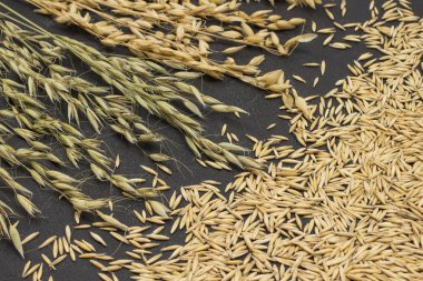 Tam tahıllı ve dikenli yulaf