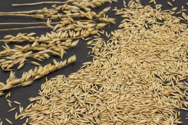 Tahıllar ve çivili yulaf. Beslenme lifleri