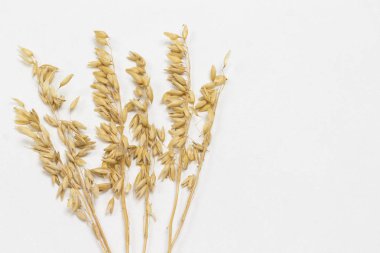 Yulaf dikenleri. Sağlıklı karbonhidratlar.